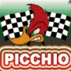 picchio77